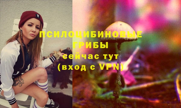гидропоника Покров