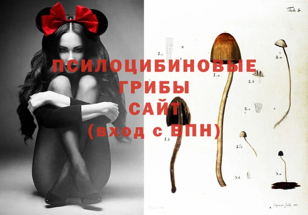прущий лед Покровск